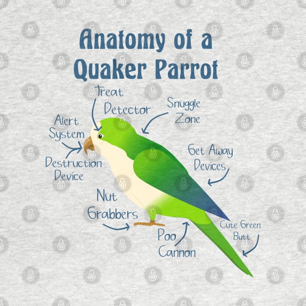 Anatomy of Quaker Parrot Monk Parakeet by Einstein Parrot